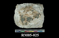 藏品(大理岩)的圖片